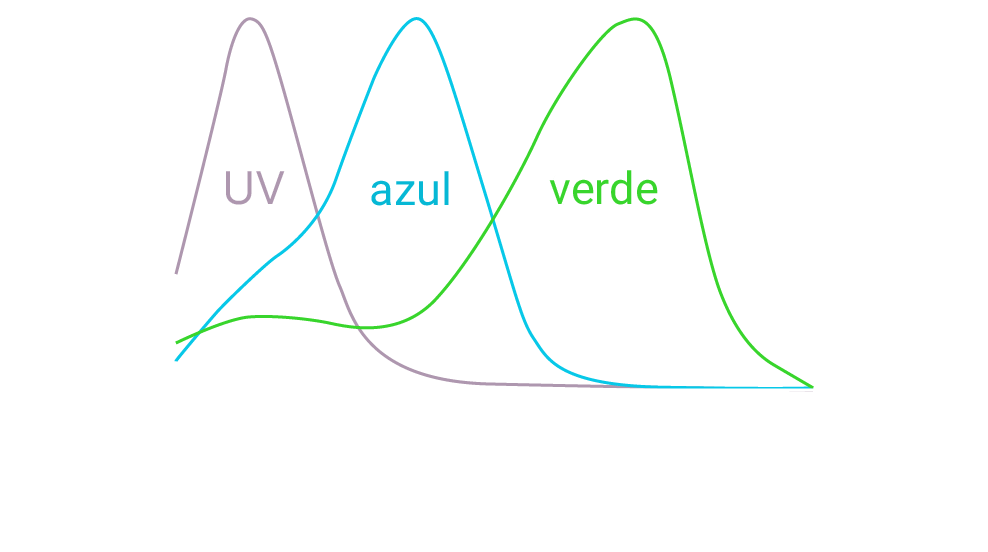 Gama espectral de la mayoría de los mamíferos dicromáticos