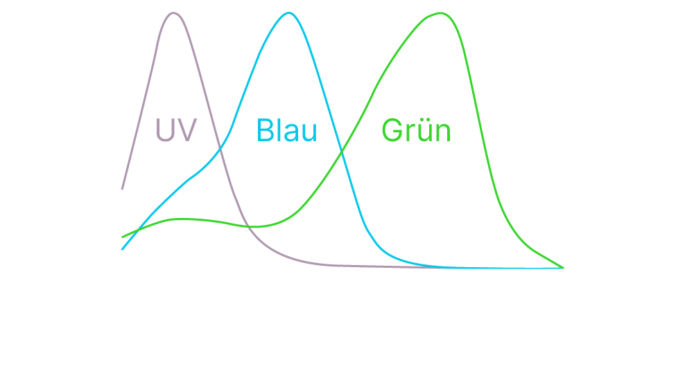 Spektralbereich der meisten dichromatischen Säugetiere