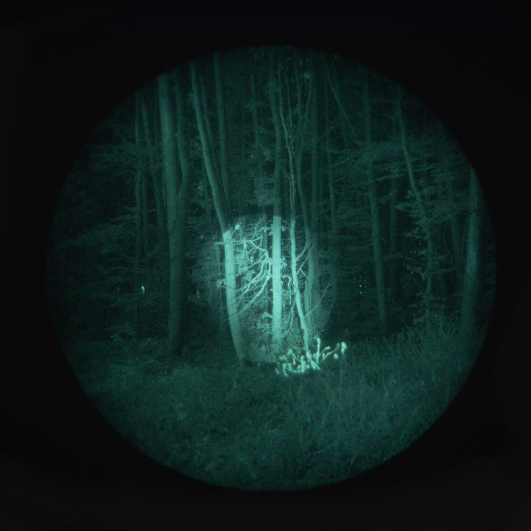 Artikelbild Artikelbild