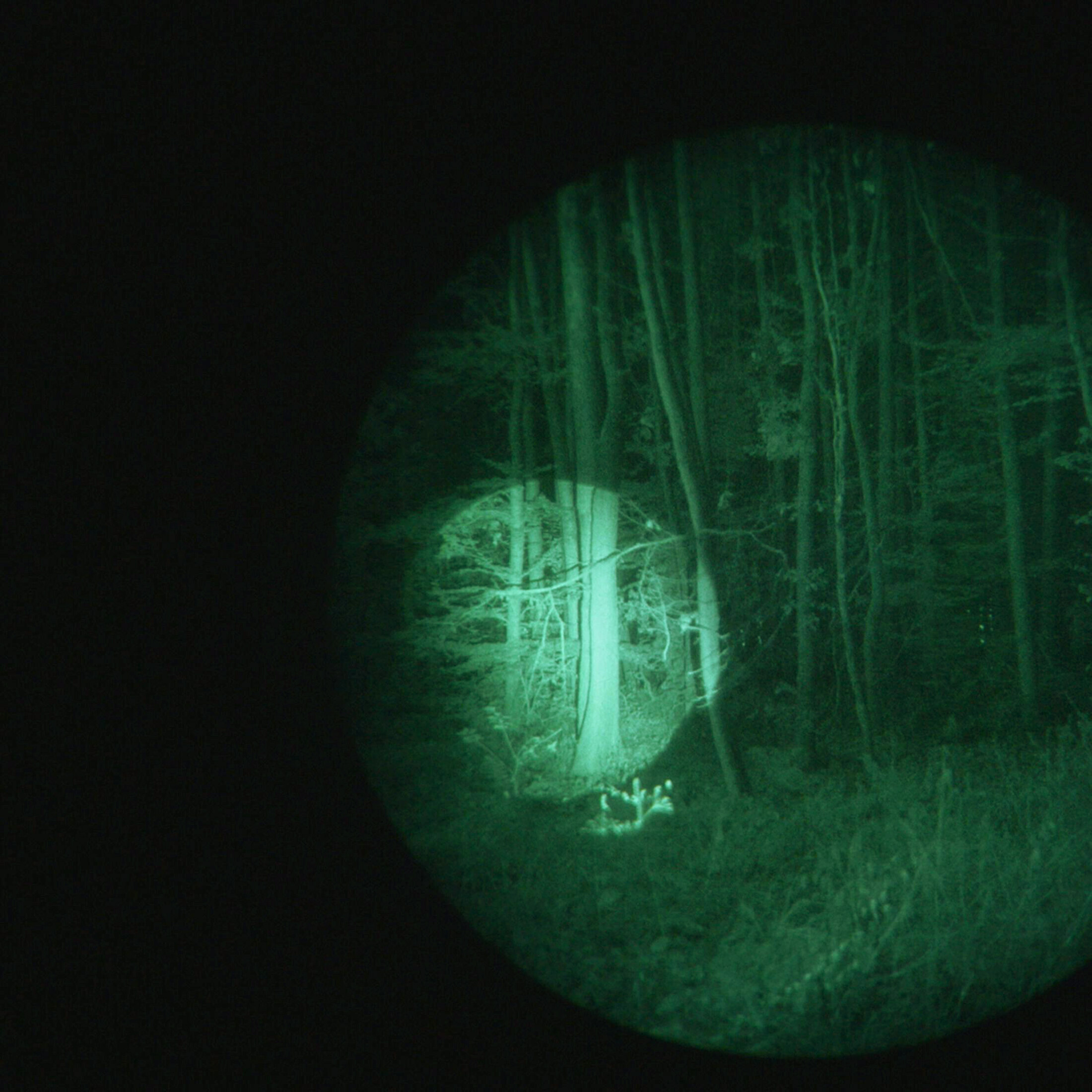 Artikelbild Artikelbild